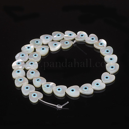Natural Sea Shell Beads SSHEL-F293-11-1