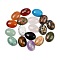 Gemstone Cabochons, Oval, Mixed Stone, 16x12x5mm