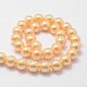 Cuentas perlas de concha de perla BSHE-L026-8mm-M-3