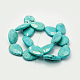 Natural Magnesite Beads Strands TURQ-P027-46-2