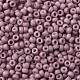 TOHO Round Seed Beads X-SEED-TR08-0766-2