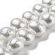 Natural Wrinkle Shell Beads Strands SHEL-F008-02-1
