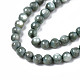 Eau douce naturelle de coquillage perles brins X-SHEL-N003-24-B01-3
