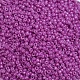 Baking Paint Glass Seed Beads SEED-S001-K21-3