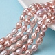 Oval Natural Cultured Freshwater Pearl Beads Strands X-PEAR-R015-43