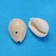 Natürliche Kaurimuschel Perlen BSHE-S056-2