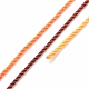 5 rouleaux de cordons en polyester teints par segments à 12 épaisseurs WCOR-P001-01B-020-3