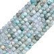 Natural Russia Amazonite Beads Strands G-S300-13-2mm-1
