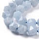 Natural Aquamarine Beads Strands G-P488-03B-4