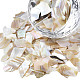Natural Abalone/Paua Shell Cabochons MRMJ-N026-001-B01-3