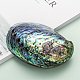 天然アワビの殻/パウア貝の装飾  シェル  カラフル  120~140x90~100x20mm X-SSHEL-F0005-01-5