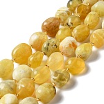 Natural Yellow Opal Beads Strands, Oval, 9.5~19.5x8~13.5x5.5~13mm, Hole: 0.9~1.2mm, about 24~27pcs/strand, 14.96~15.55''(38~39.5cm)
