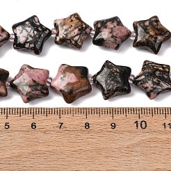 Natur Rhodonit Perlen Stränge&nbsp;G-K359-E08