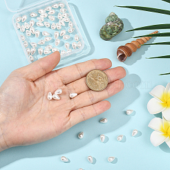 2 нити полированных ракушечных жемчужных бусин&nbsp;BSHE-PA0001-03