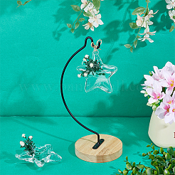 Стеклянные подвесные гидропонные вазы&nbsp;AJEW-WH0752-086B