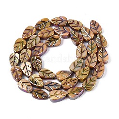 Нити резных бусин из натуральных пресноводных ракушек&nbsp;SHEL-N038-25D