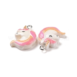 Подвески из непрозрачной смолы&nbsp;LS-X-RESI-J023-12A