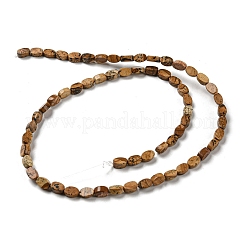 Picture naturale perline di diaspro fili&nbsp;G-M420-H10-03