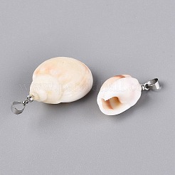 Pendentifs en laiton et coquillage spiralé naturel&nbsp;SHEL-Q029-13P