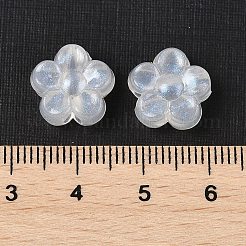 Прозрачные акриловые бусины&nbsp;TACR-F009-05