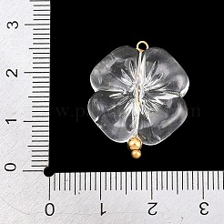 Anhänger aus transparentem Acryl und Edelstahl&nbsp;TACR-G051-01G-02