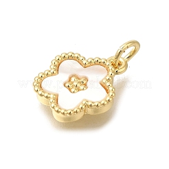 Pendentifs coquille en laiton&nbsp;X-KK-R002-12G