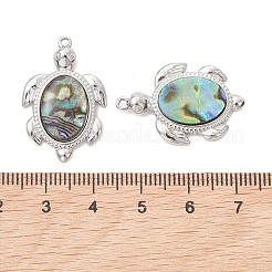 Colgantes de resina epoxi de concha de paua natural&nbsp;PALLOY-JF05271-02