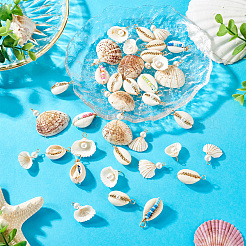 36 шт. 6 подвески из натуральной ракушки&nbsp;FIND-TA0004-84