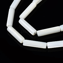 Fili di perle di conchiglia trochid naturale / trochus&nbsp;X-SSHEL-S266-020A-03