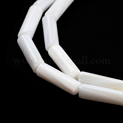 Нити бусин из пресноводных ракушек&nbsp;X-BSHE-L037-13