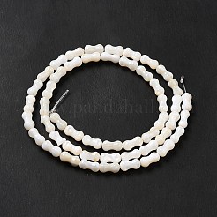 Naturali di acqua dolce perline shell fili&nbsp;SHEL-G014-03
