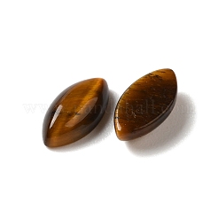 Cabochons en œil de tigre naturel&nbsp;G-F772-01B-10