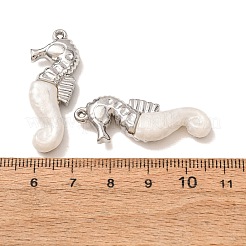 Pendentifs en acier inoxydable 304 et résine&nbsp;RE-CBA1E3F-03B-P