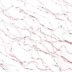 Деко сетчатые ленты&nbsp;OCOR-TAC0011-04C