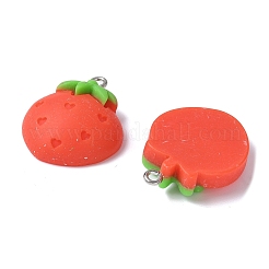 12шт 12 стиля непрозрачные подвески из смолы&nbsp;RESI-V001-04