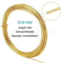 Kit di gioielli avvolti in filo fai da te&nbsp;DIY-BC0011-81D-04