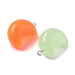 Светящиеся подвески смолы&nbsp;RESI-Z038-01P-02