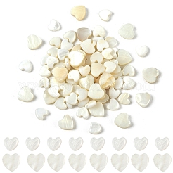 30шт натуральные пресноводные бусины из ракушек&nbsp;SHEL-YW0001-18