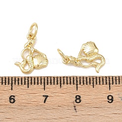 Messing Anhänger & Charms&nbsp;KK-Z132-03G-03