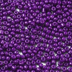 Выпечка краска стеклянные бусины&nbsp;SEED-S002-K11