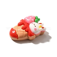 Кабошоны из непрозрачной смолы на тему кролика CRES-U004-04C