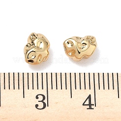 Латунные бусины&nbsp;XGRQ1A489-323G