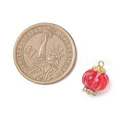 6 шт. подвески из стекла и сплава&nbsp;PALLOY-JF04636