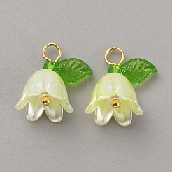 Акриловые подвески&nbsp;KY-TAC0009-03A