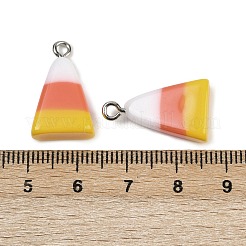 Подвески из непрозрачной смолы&nbsp;LS-RESI-C062-01