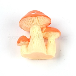 Смолы украшения&nbsp;DJEW-WH0011-59