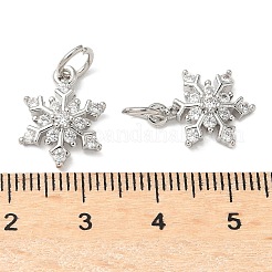 Pendentifs en laiton micro pavé de zircones cubiques avec anneau de jonction&nbsp;LS-KK-A254-24P