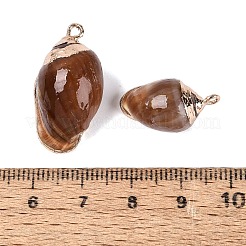 Pendentifs en spirale naturelle galvanoplastie&nbsp;SSHEL-Q100-45G