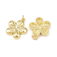 Латунные подвески&nbsp;KK-L251-28G