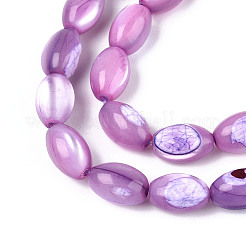 Нити бусин из натуральной ракушки трохус&nbsp;SHEL-K006-19-01D